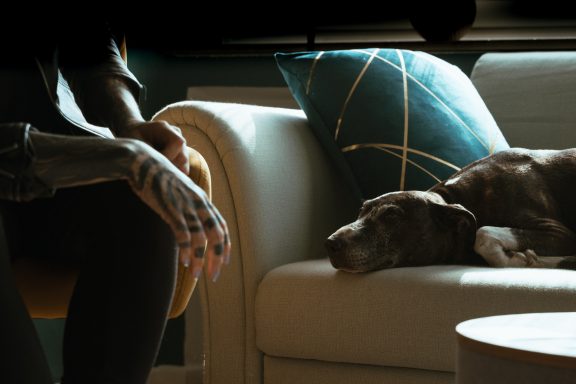 Beratung mit Hund Beratung mit Hund